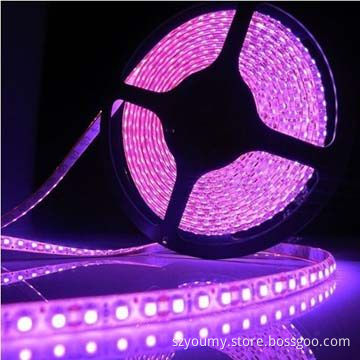 5050 SMD Pink LED Strip Light, OEM/ODM Orders Welcomed, DC 12V, Waterproof